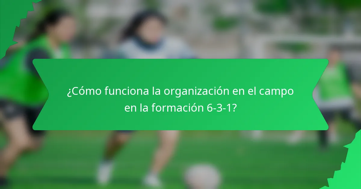 ¿Cómo funciona la organización en el campo en la formación 6-3-1?